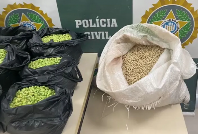 Policiais encontraram carregamentos de feijão sem a pigmentação e potes do corante utilizado para pintar as sementes