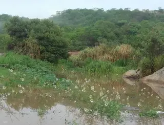 Itapetim registra a maior chuva entre os municípios pernambucanos nas últimas 24 horas