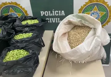Policiais encontraram carregamentos de feijão sem a pigmentação e potes do corante utilizado para pintar as sementes